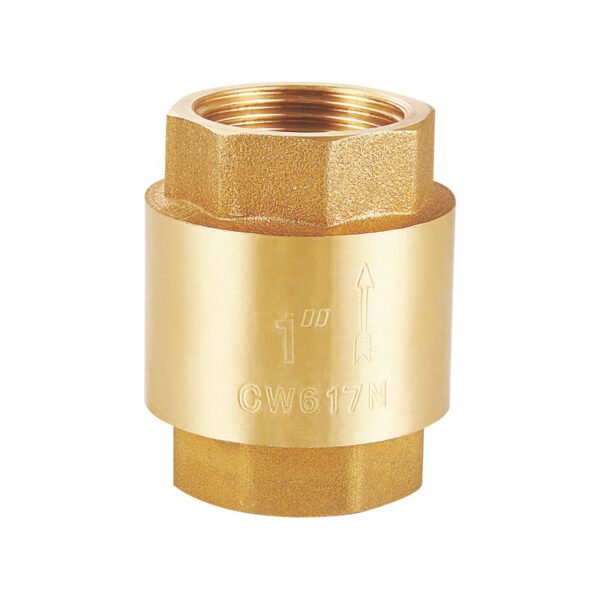 Spring Check Valve H5002